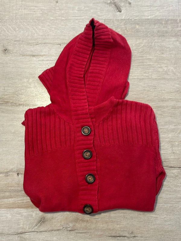 đź›’Sweat Ă capuche rouge Tommy Hilfiger Sđź›’