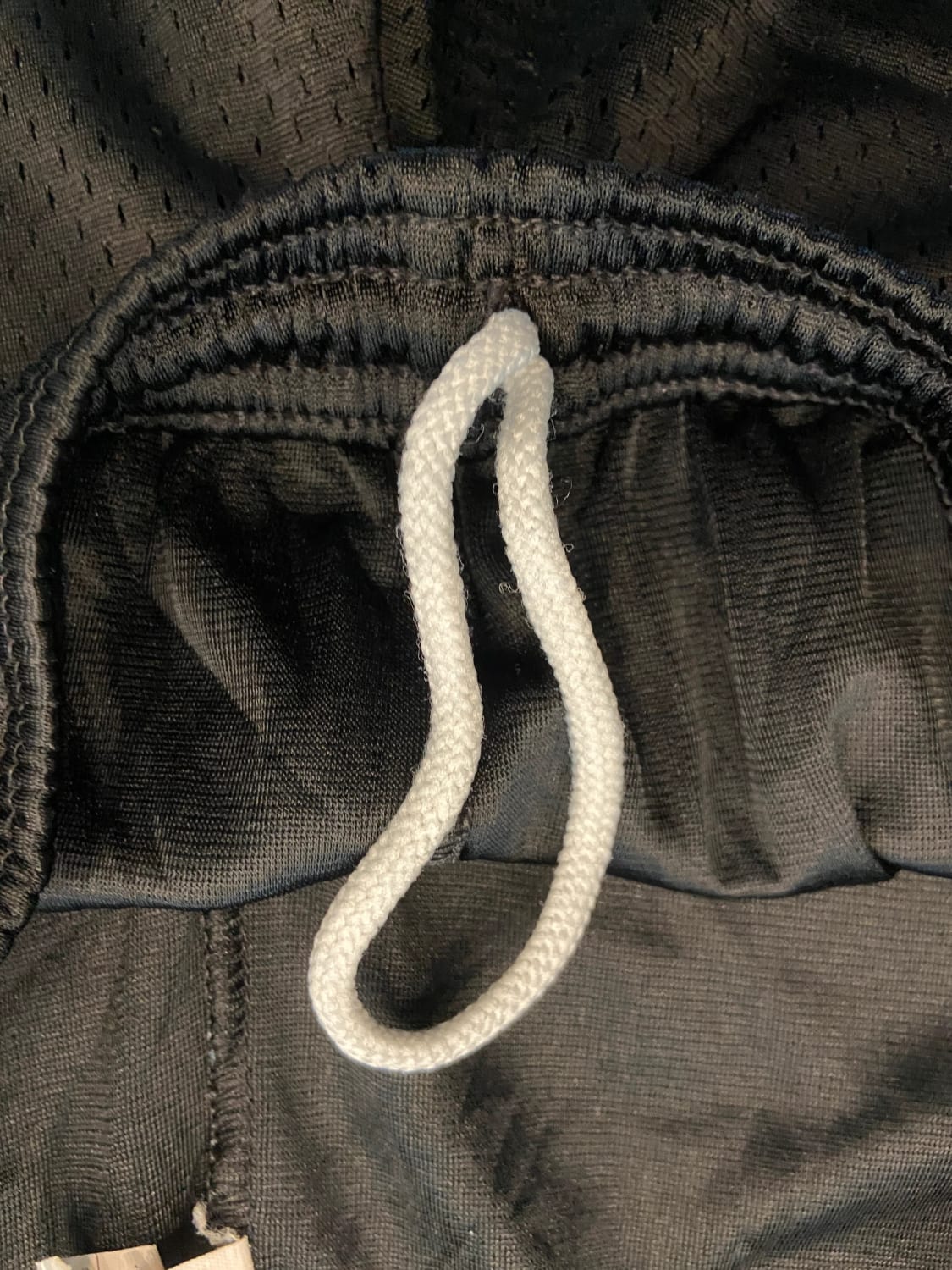 đź›’Short Champion Sđź›’